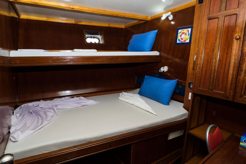 Standard Cabin - Blue Shark One