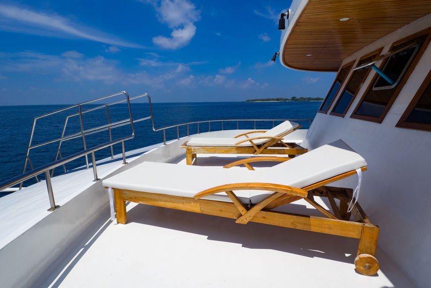 Sun Deck - Blue Shark One