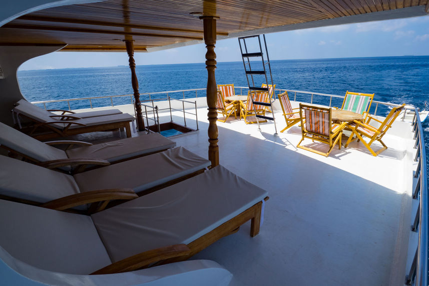 Sun Deck - Blue Shark One