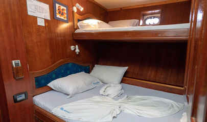 Standard Cabins