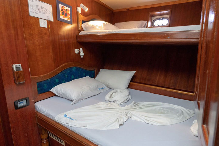 Standard Cabins