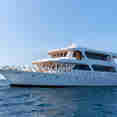 Blue Shark One