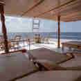 Sun Deck - Blue Shark One
