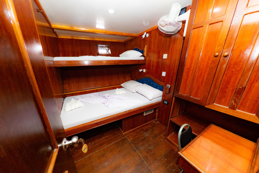 Standard Cabin - Blue Shark One