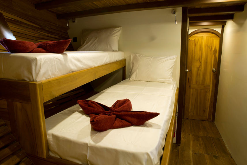 Standard Bunk Cabin - Leyla