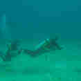 diving