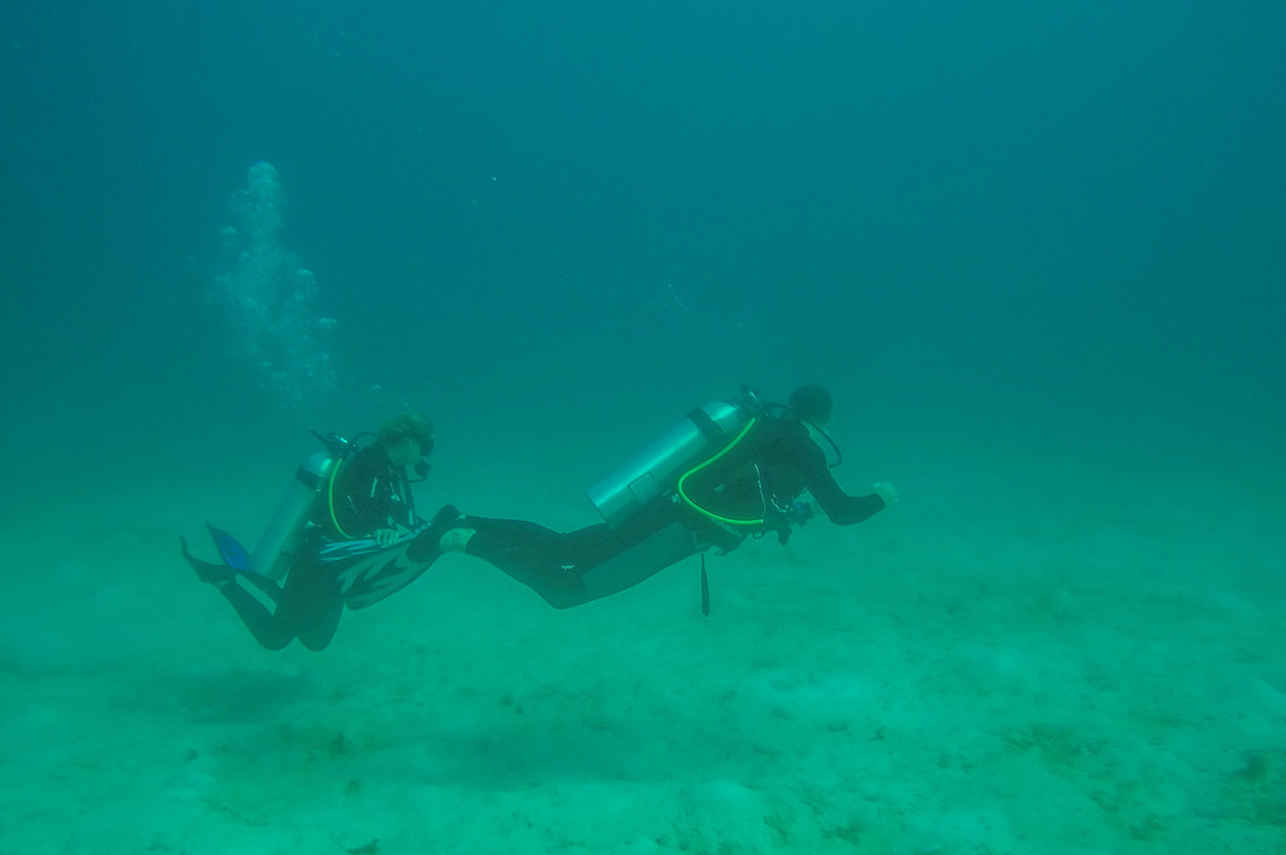diving