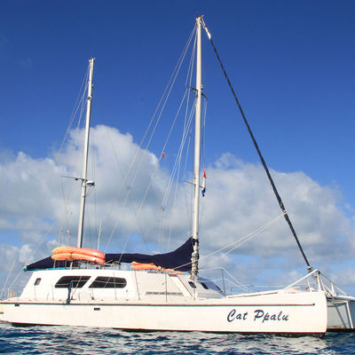 All Star Cat Ppalu — vessel photograph