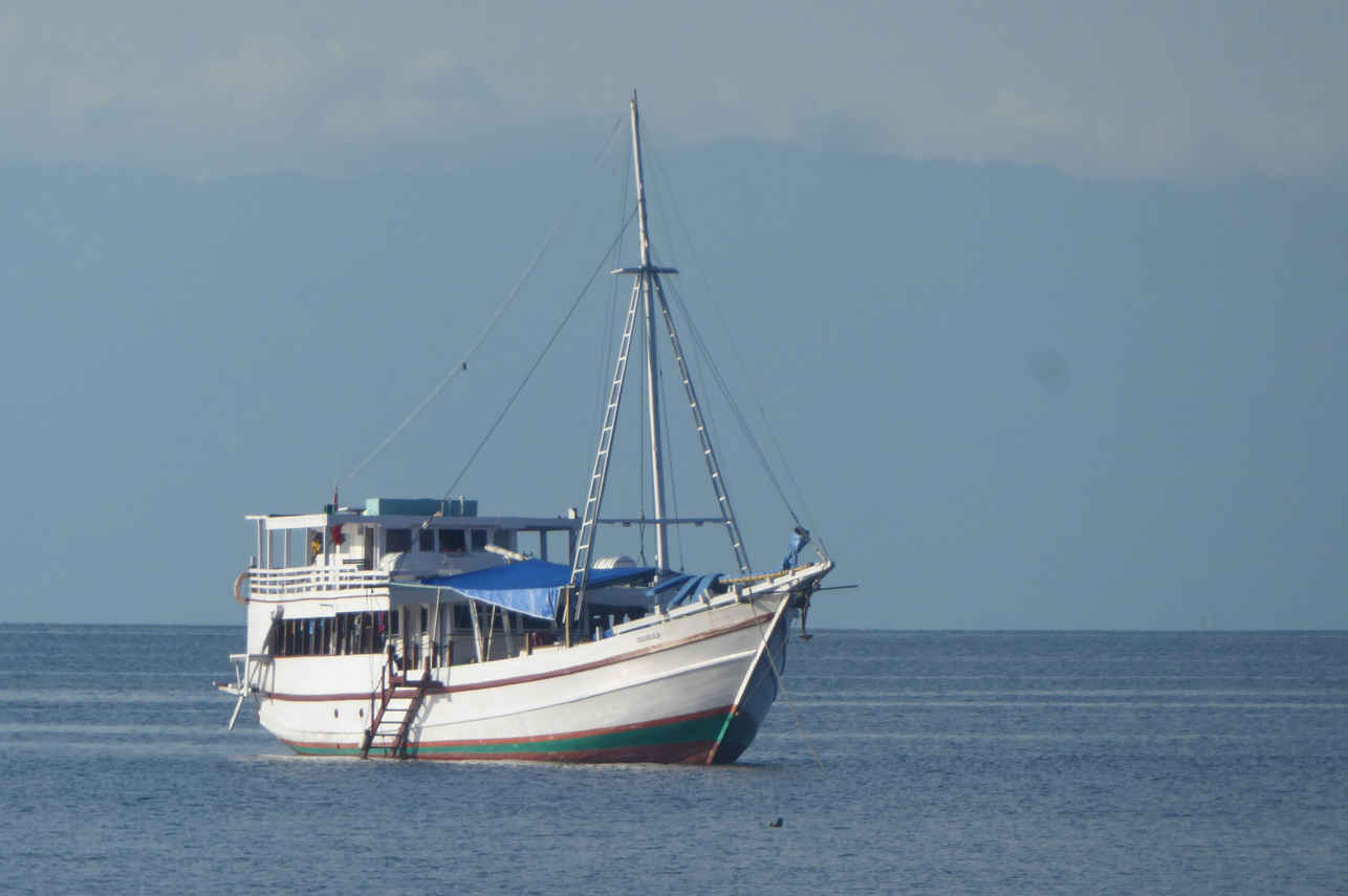 Mega Buana