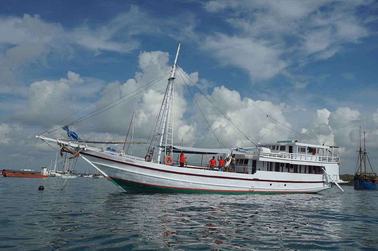 Mega Buana