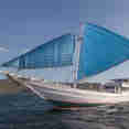 Mega Buana