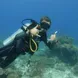 Diving in Komodo