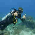 Diving in Komodo
