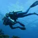 Diving in Komodo