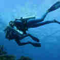 Diving in Komodo