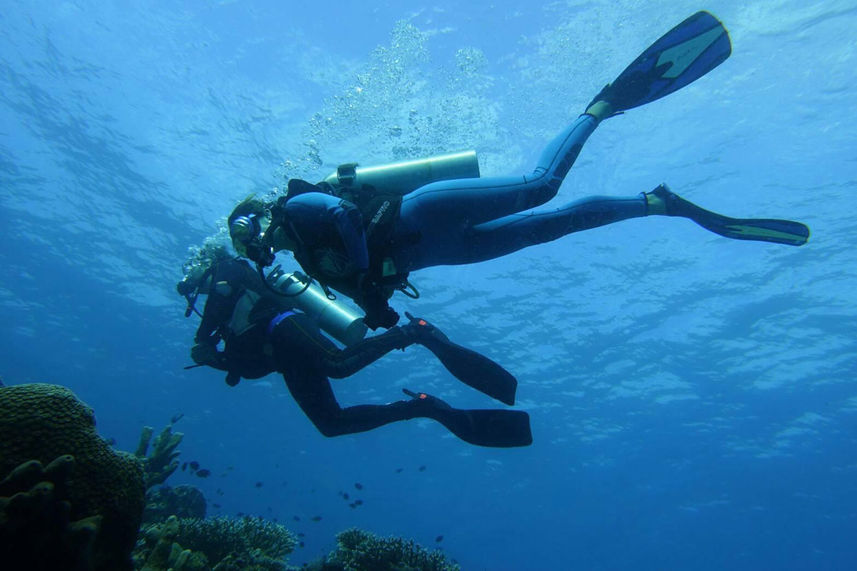 Diving in Komodo