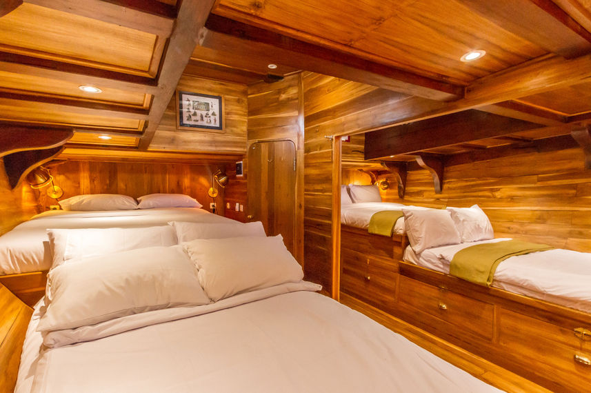 Quad Cabin - Anne-Judith II