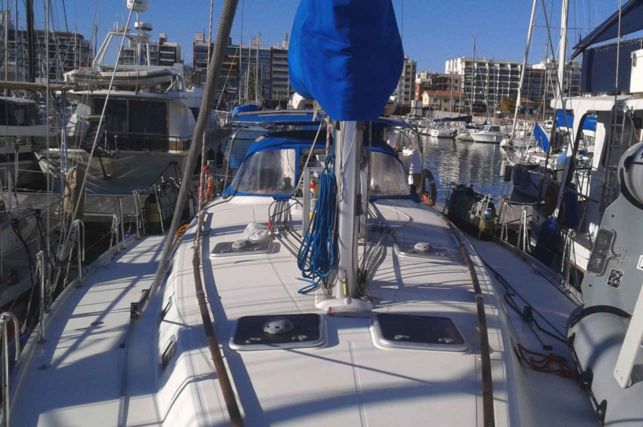 Sun Deck - Sea Cucumber