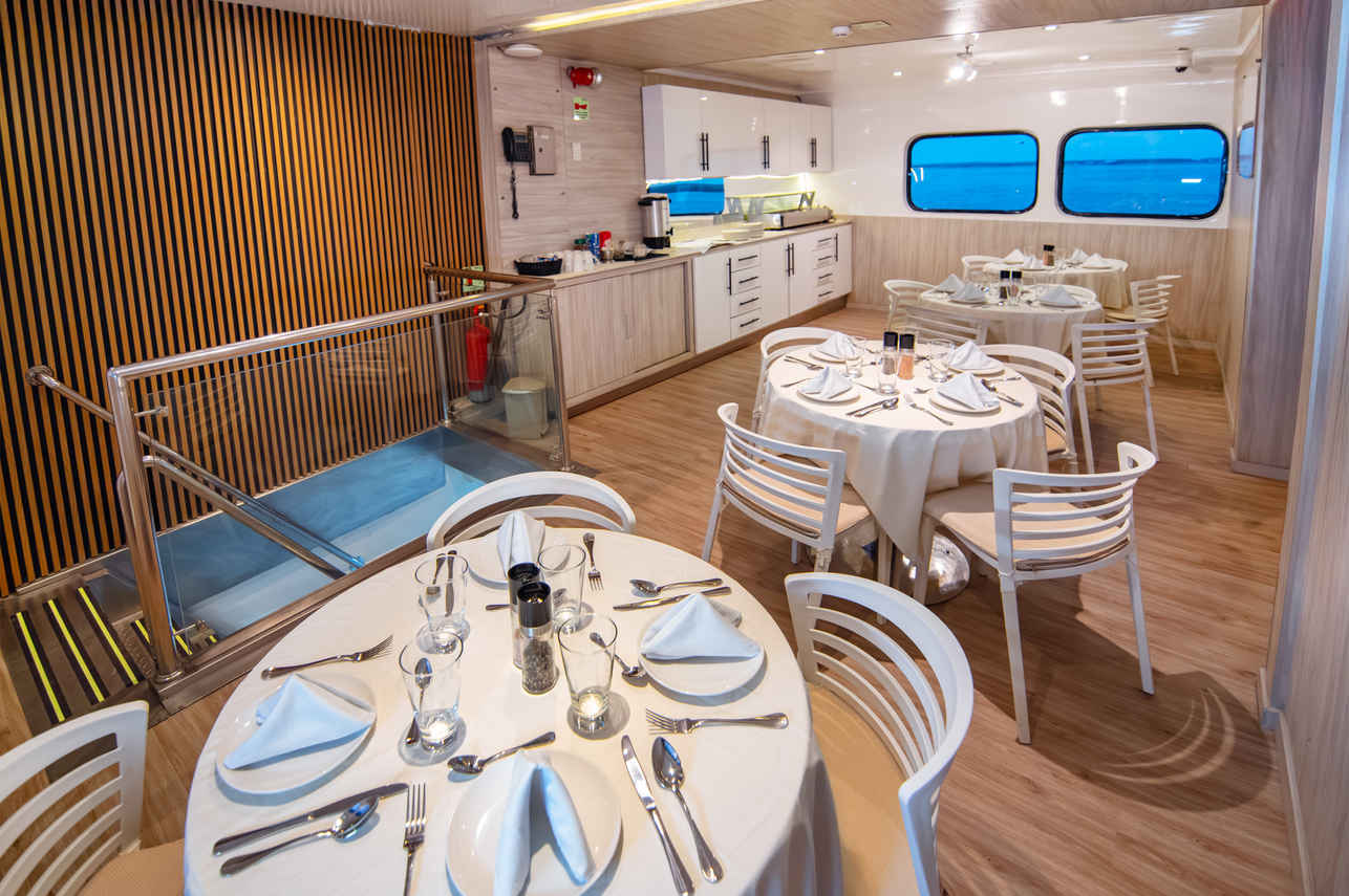 Salle à manger  - Solaris