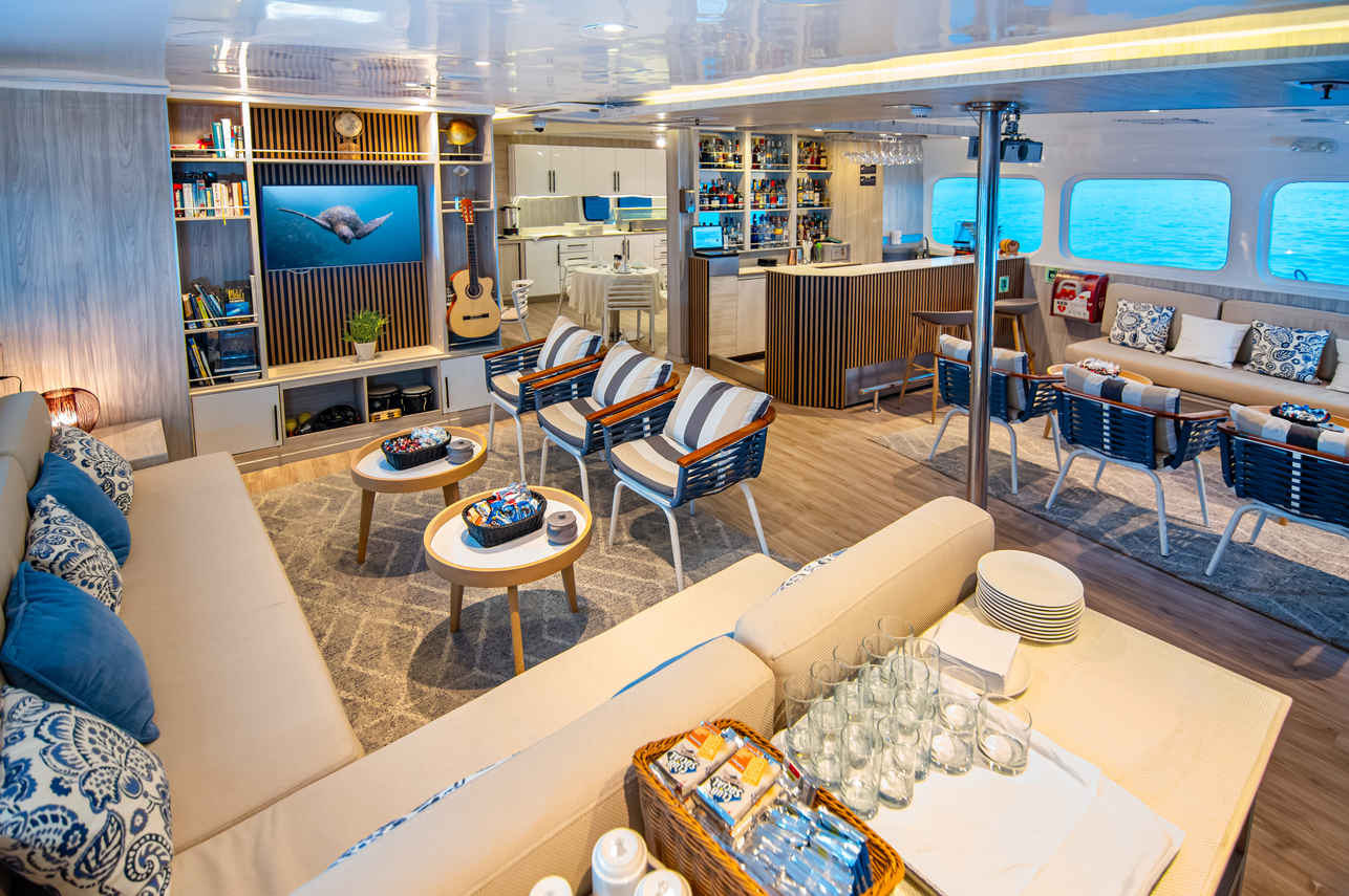 Salon intérieur - Solaris