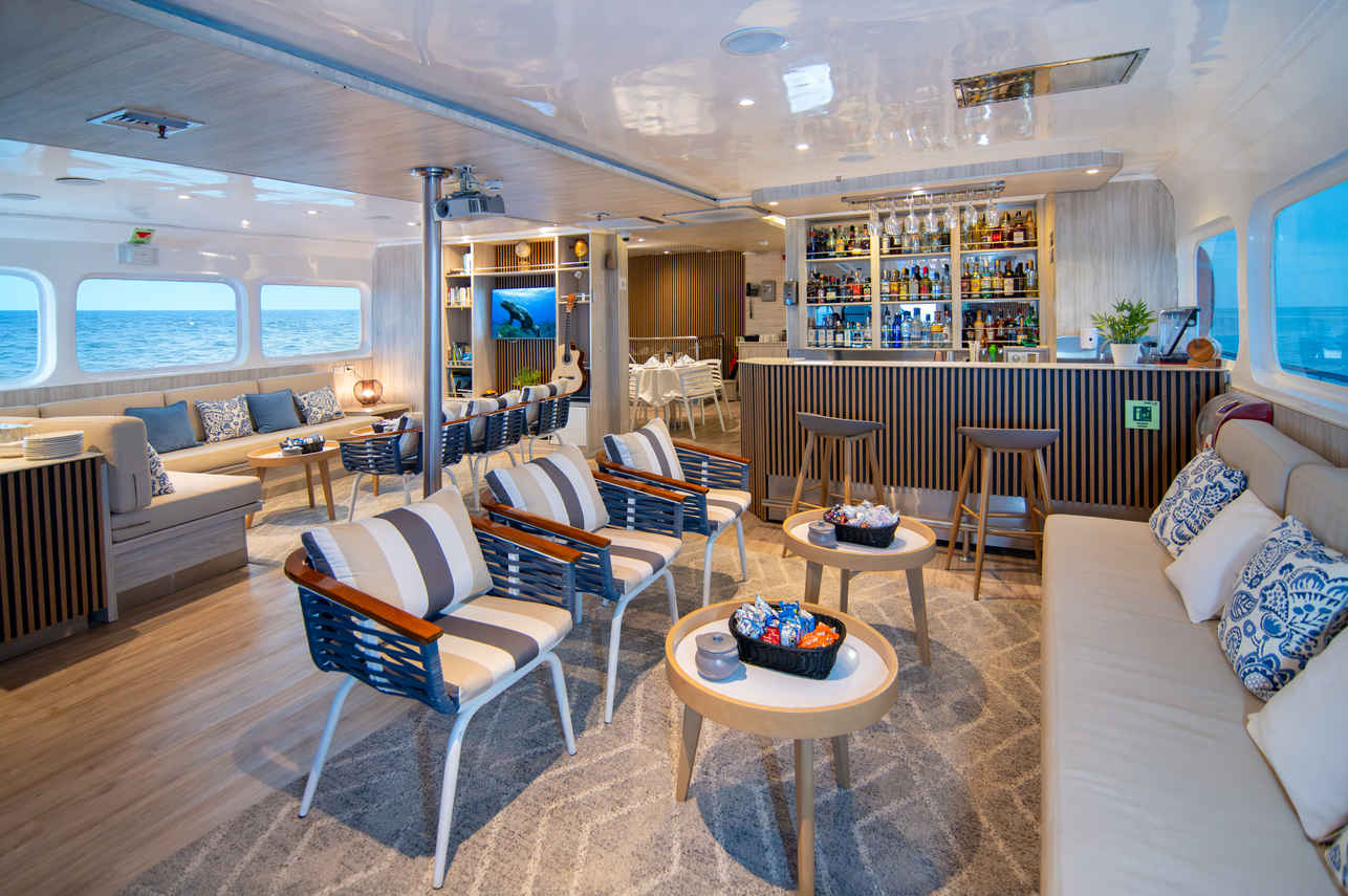 Salon intérieur - Solaris