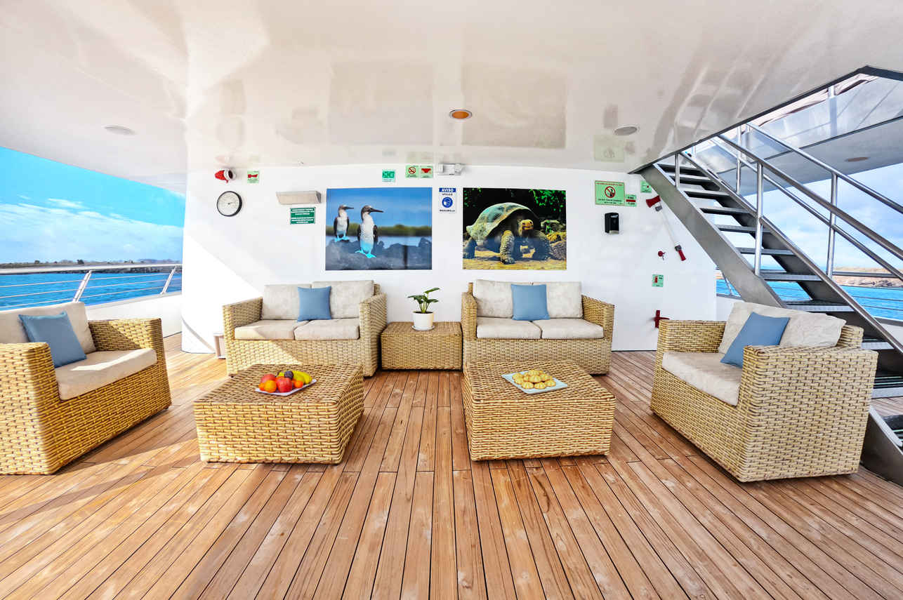 Salon extérieur - Solaris