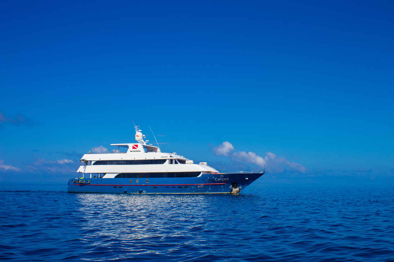 Calipso Cruise