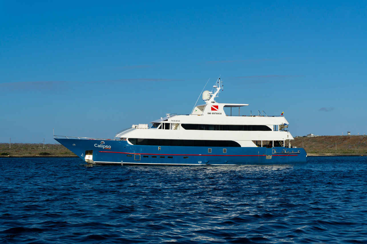 Calipso Cruise
