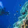 Banda Reef