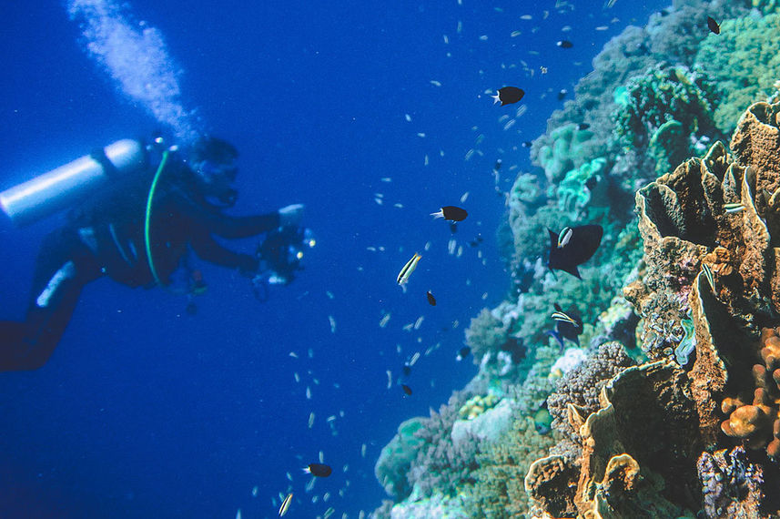 Banda Reef
