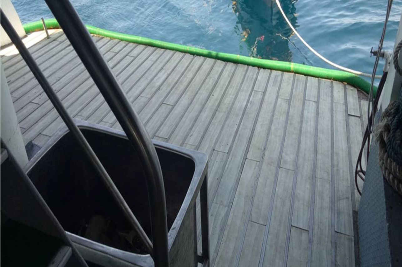 Dive deck - Oceanic 3