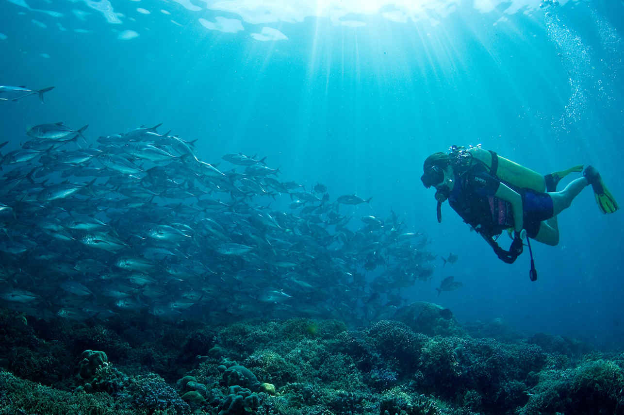Rays of lights, Apo Reefs