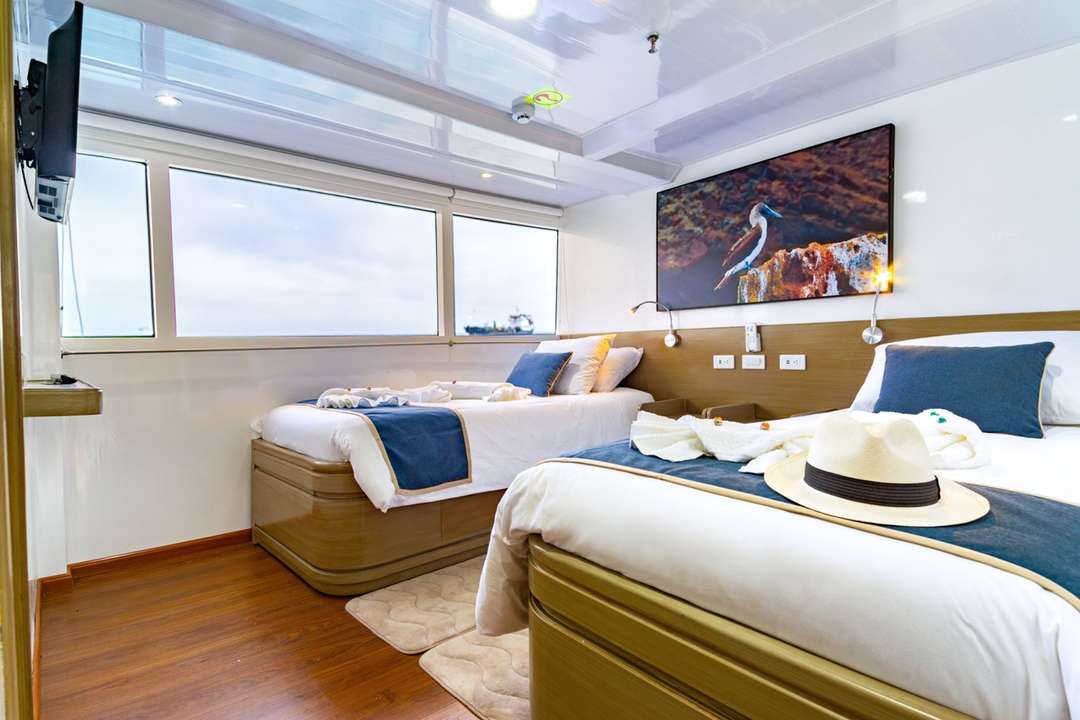 #twincabin