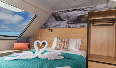 Main Deck Cabin