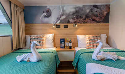 Upper Deck Cabins