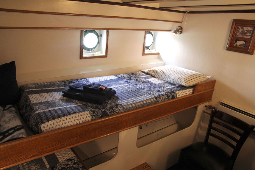 Cabina letto doppio - Discovery Alaska