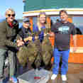Catch of Halibut