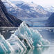 Iceberg and glacier in Endicott Arm fjord