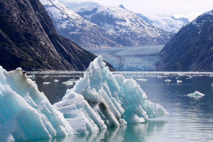 Iceberg and glacier in Endicott Arm fjord