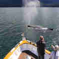 Discovery Alaska