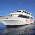 Dive Hurghada