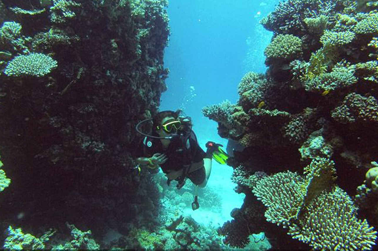 Diving