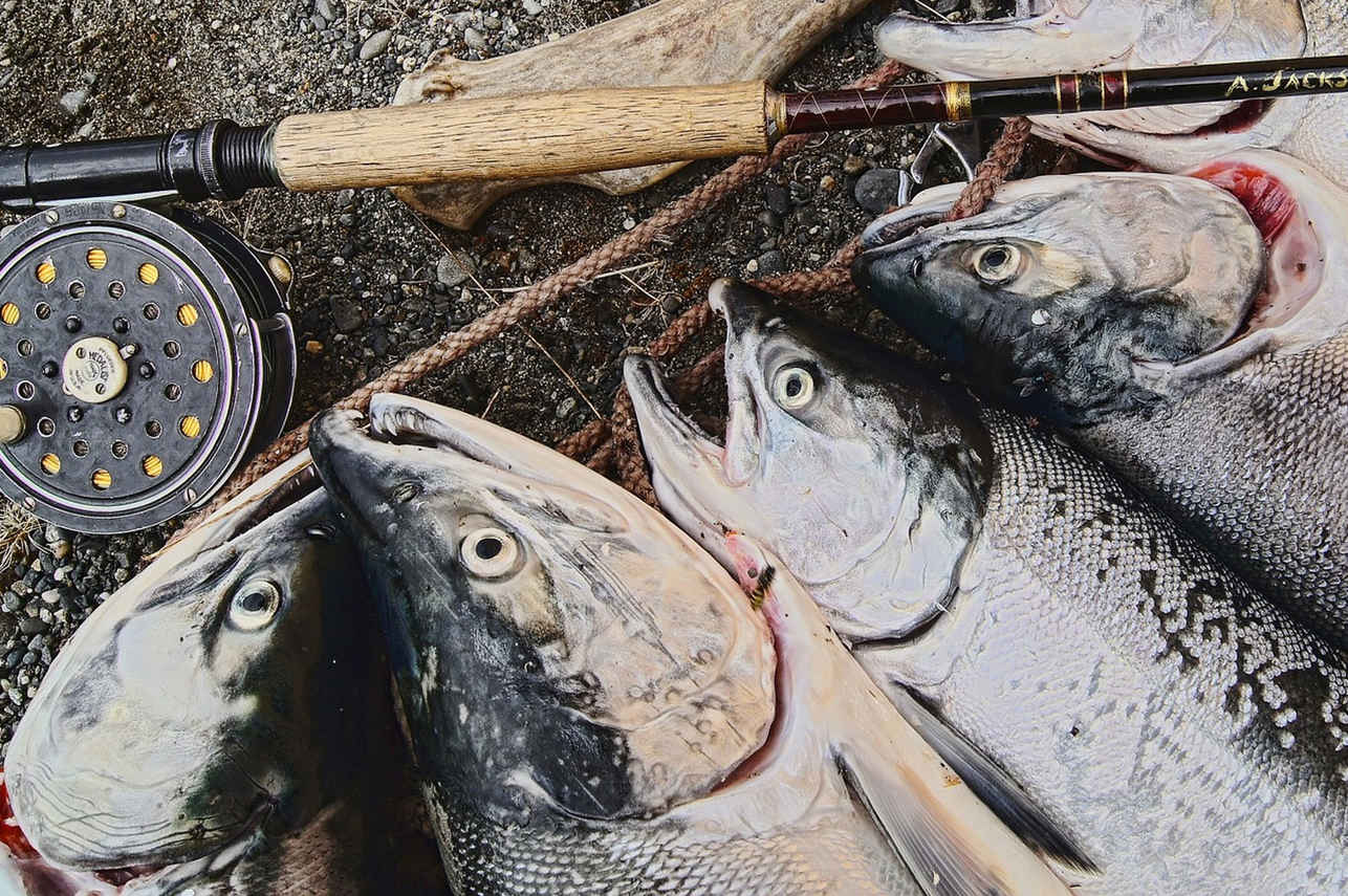 Fishing