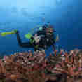 Diving