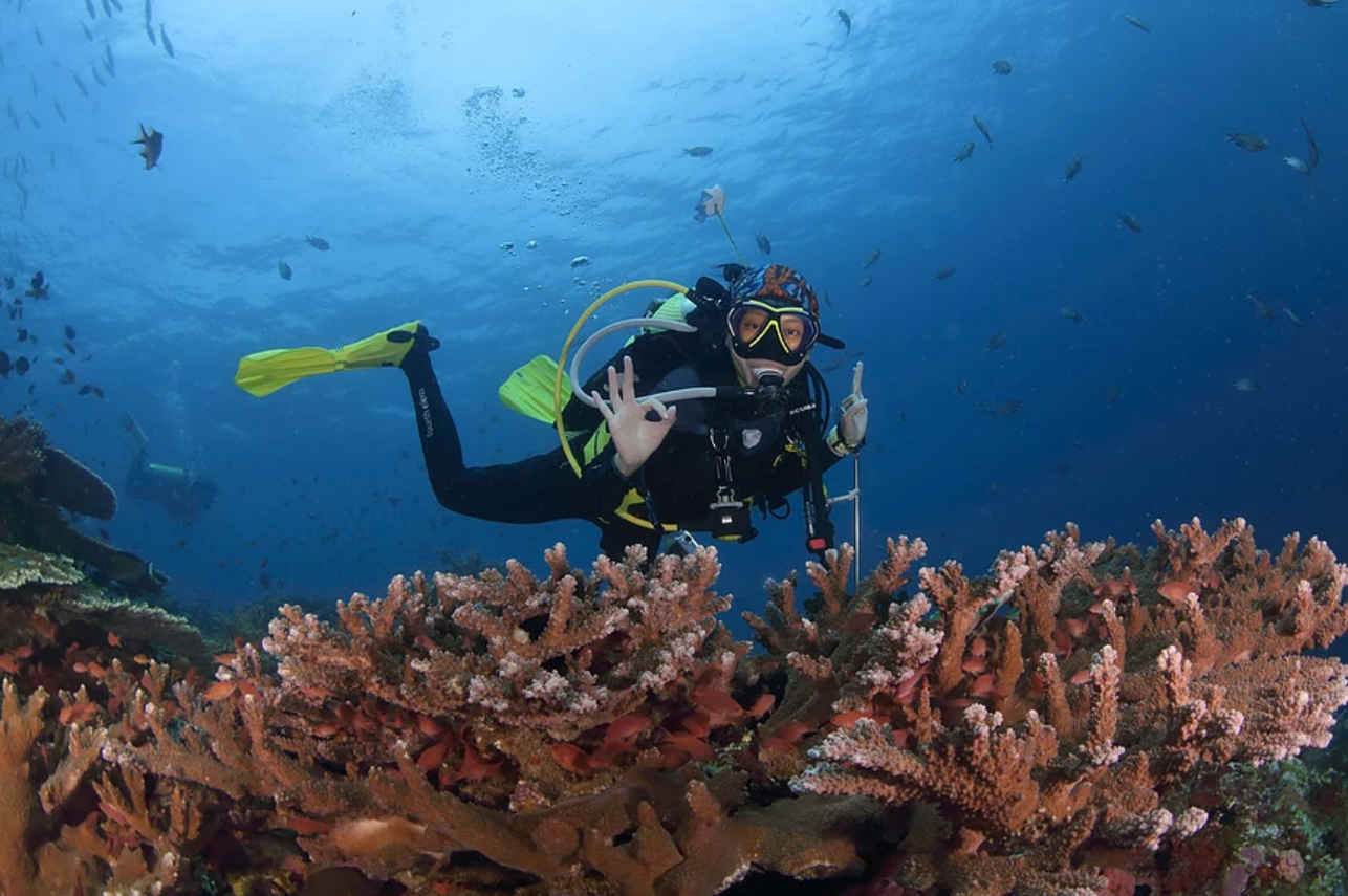 Diving