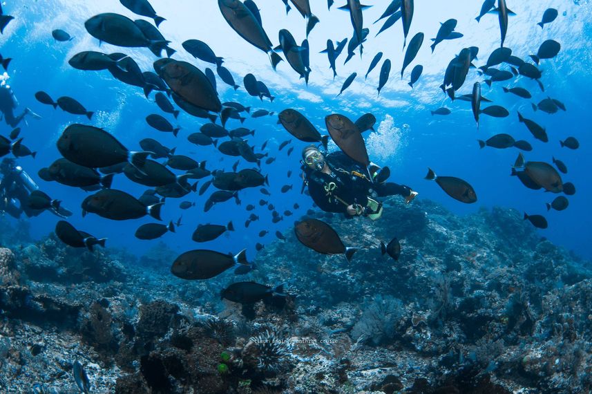 Diving