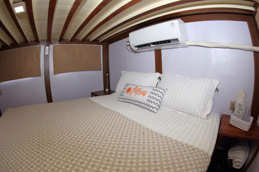 Cabine pont inférieur - Anthias