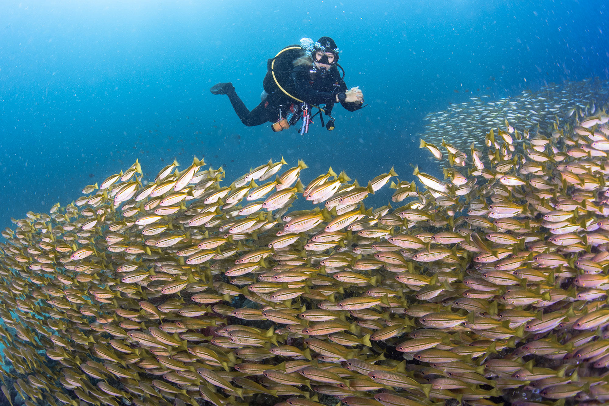 Diving