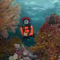 #diving