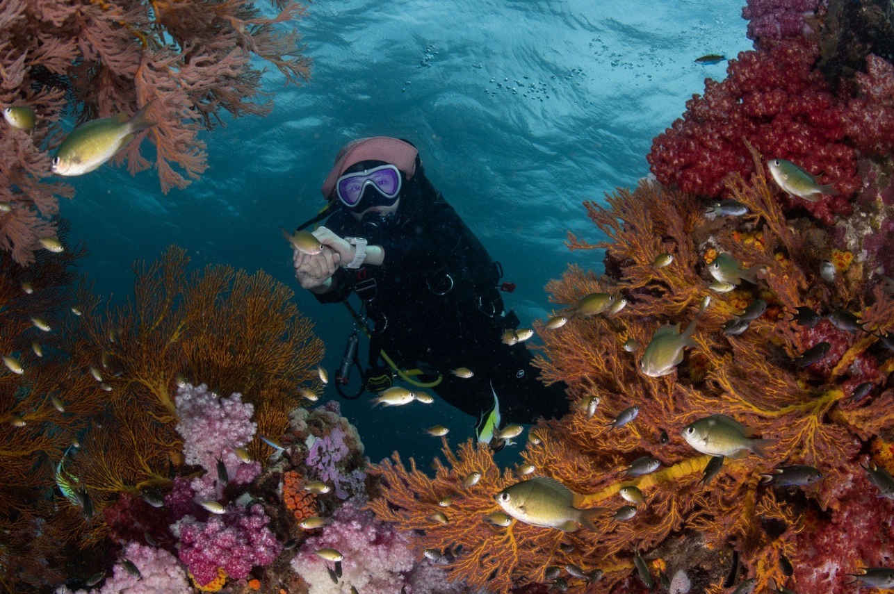 Diving